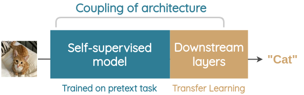 Coupling of pretext task architecture and downstream task architecture