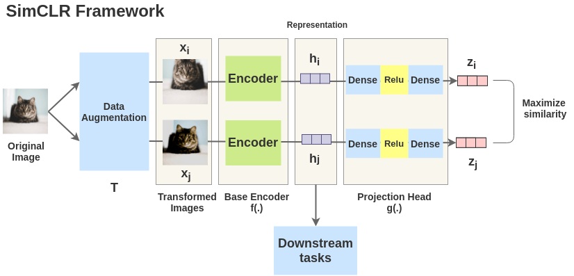 General Architecture of the SimCLR Framework