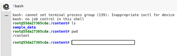 Using interactive shell in colab