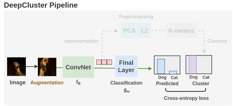 Representation Learning Part of the DeepCluster Pipeline