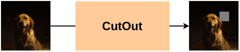 Example of Cutout Augmentation