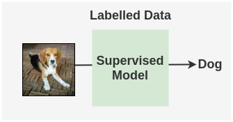 Usual Supervised Learning Approach