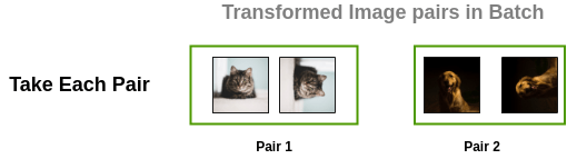 Example of pairs in a batch of images