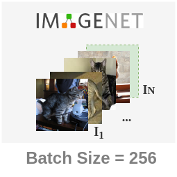 A single batch from ImageNet